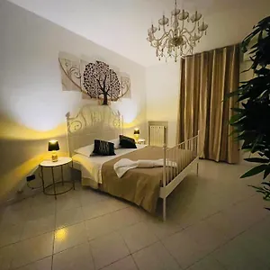 Vitti's 2 Verona